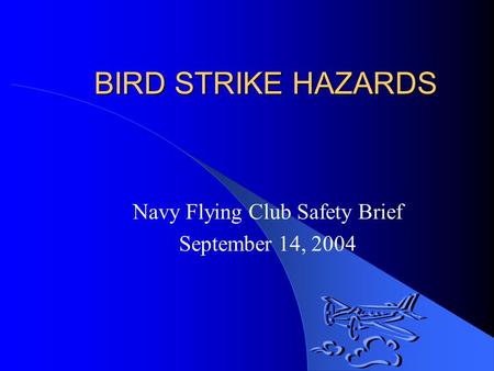 BIRD STRIKE HAZARDS Navy Flying Club Safety Brief September 14, 2004.