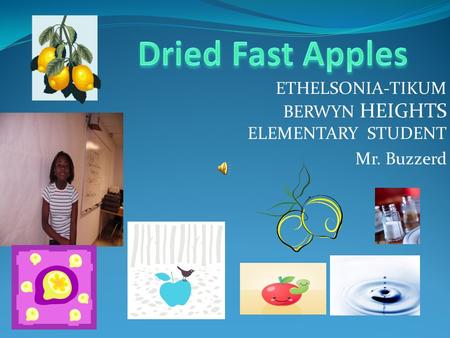 ETHELSONIA-TIKUM BERWYN HEIGHTS ELEMENTARY STUDENT Mr. Buzzerd.