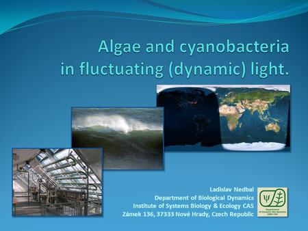 Ladislav Nedbal Department of Biological Dynamics Institute of Systems Biology & Ecology CAS Zámek 136, 37333 Nové Hrady, Czech Republic.