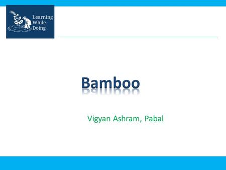 Vigyan Ashram, Pabal. Bamboos are from a true grass family They are widely distributed throughout parts of the world, particularly in the Asia- Pacific.