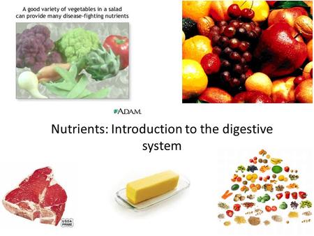 Nutrients: Introduction to the digestive system. NEWS You will have a quiz on Monday on the Skeletal System, Muscle System, and Skin. – Study your notes.