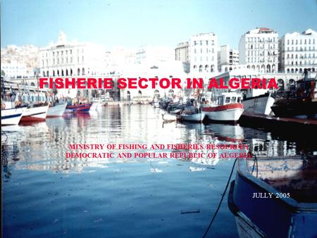 FISHERIE SECTOR IN ALGERIA MINISTRY OF FISHING AND FISHERIES RESOURCES DEMOCRATIC AND POPULAR REPUBLIC OF ALGERIA JULLY 2005.