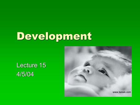 Development Lecture 15 4/5/04. Plan  Attachment & bonding  Familiarity--Lorenz  Comfort-- Harlow  Responsiveness to needs- Attachment styles  Cognitive.