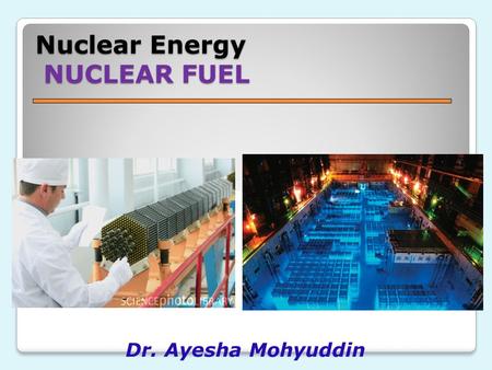 Nuclear Energy NUCLEAR FUEL