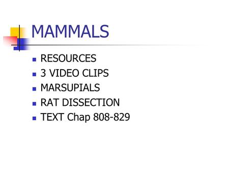 MAMMALS RESOURCES 3 VIDEO CLIPS MARSUPIALS RAT DISSECTION