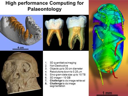 High performance Computing for Palaeontology 1.3D quantitative imaging 2.Non Destructive 3.Objects up to 30 cm diameter 4.Resolutions down to 0.25  m.