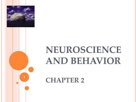 NEUROSCIENCE AND BEHAVIOR CHAPTER 2 1. AMNESIA 2.