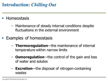 Introduction: Chilling Out