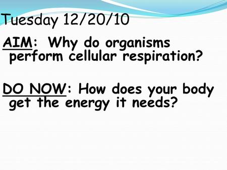 Tuesday 12/20/10 AIM: Why do organisms perform cellular respiration? DO NOW: How does your body get the energy it needs?