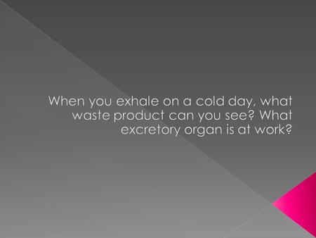  Excretion  The process by which the body collects and removes wastes.  Includes the following organs: › Liver, Lungs, skin, and kidneys.