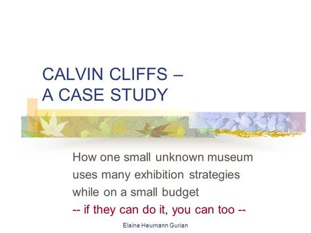 Elaine Heumann Gurian CALVIN CLIFFS – A CASE STUDY How one small unknown museum uses many exhibition strategies while on a small budget -- if they can.