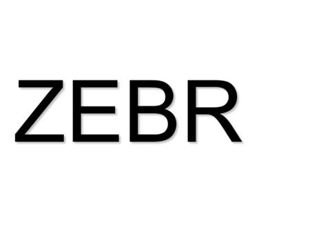 ZEBR. AFISH HOLDI NG CHAM BER Team Members: Austin Ramme, Kristen Sipsma,