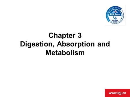 OPEN DAY www.lrjj.cn Chapter 3 Digestion, Absorption and Metabolism.