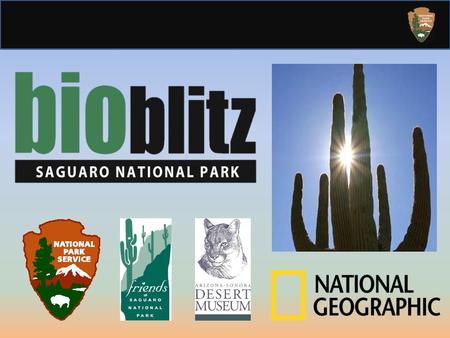 National Geographic and National Park Service: 10 Years of BioBlitz One annual BioBlitz in an urban NPS unit, leading up to 2016 centennial 2007: Rock.