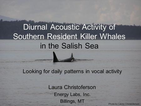 Diurnal Acoustic Activity of Southern Resident Killer Whales in the Salish Sea Looking for daily patterns in vocal activity Laura Christoferson Energy.