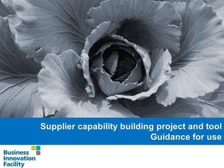 Supplier capability building project and tool Guidance for use.