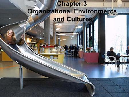 Chapter 3 Organizational Environments and Cultures