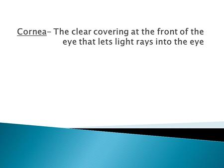 Cornea- The clear covering at the front of the eye that lets light rays into the eye.