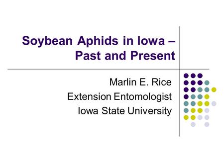 Soybean Aphids in Iowa – Past and Present Marlin E. Rice Extension Entomologist Iowa State University.