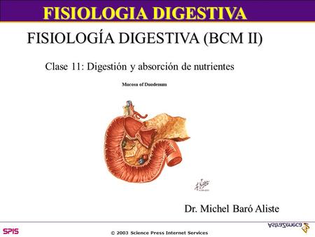 © 2003 Science Press Internet Services FISIOLOGIA DIGESTIVA FISIOLOGÍA DIGESTIVA (BCM II) Dr. Michel Baró Aliste Clase 11: Digestión y absorción de nutrientes.