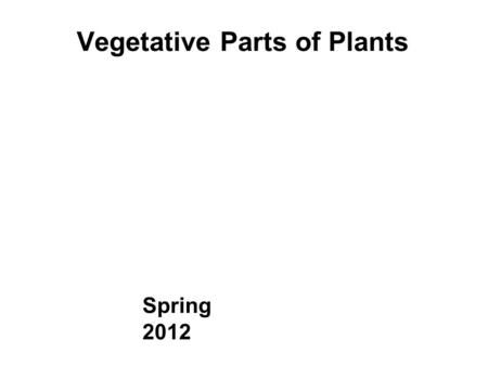 Vegetative Parts of Plants Spring 2012. Descriptive Terminology LEARN DESCRIPTIVE TERMINOLOGY = PHYTOGRAPHY - Vegetative - Floral/inflorescence - Fruit.