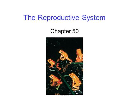 The Reproductive System