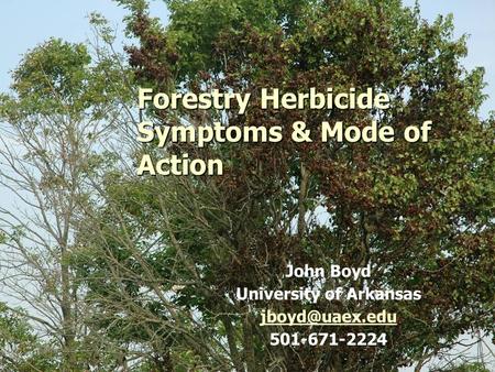 1 Forestry Herbicide Symptoms & Mode of Action John Boyd University of Arkansas 501-671-2224.