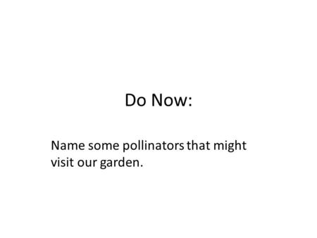 Do Now: Name some pollinators that might visit our garden.