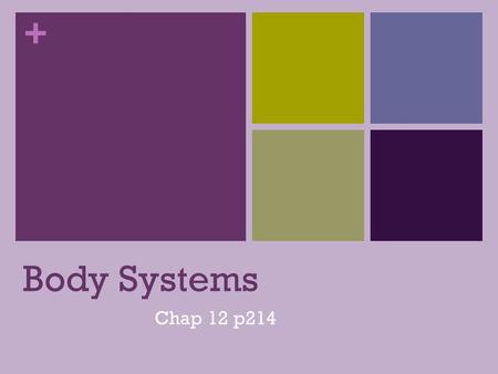 + Body Systems Chap 12 p214. + If we think of the body as a machine… What is the most “Basic” part of this machine? That’s right, THE CELL!