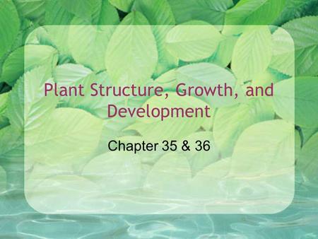 Plant Structure, Growth, and Development