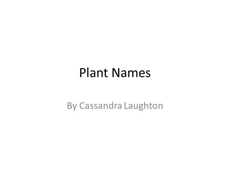 Plant Names By Cassandra Laughton. Red Oak Quercus rubra Red Oak Tree The red oak tree can reach of height of 80 feet. It can also attain a girth of up.