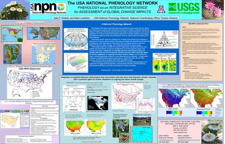 The USA NATIONAL PHENOLOGY NETWORK Jake F. Weltzin and Mark Losleben USA National Phenology Network, National Coordinating Office, Tucson, Arizona NATIONAL.