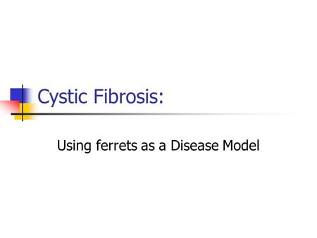 Cystic Fibrosis: Using ferrets as a Disease Model.