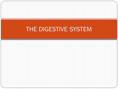 THE DIGESTIVE SYSTEM.