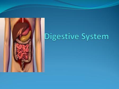 EQ: How do the functions of the human body systems interact? Today I will learn about the integumentary and lymphatic systems because both systems are.