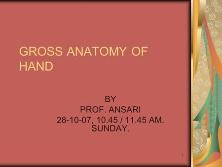 BY PROF. ANSARI , / AM. SUNDAY.