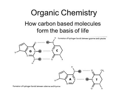 Organic Chemistry How carbon based molecules form the basis of life.