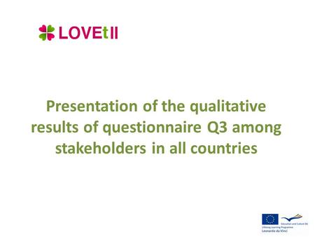 Presentation of the qualitative results of questionnaire Q3 among stakeholders in all countries.