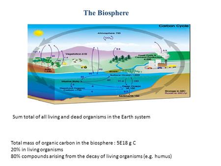 The Biosphere Total mass of organic carbon in the biosphere : 5E18 g C 20% in living organisms 80% compounds arising from the decay of living organisms.