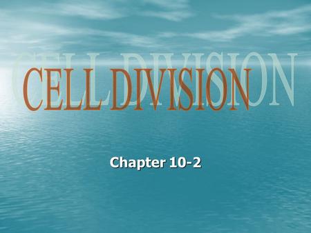 Chapter 10-2. Chromosomes are not visible in cells until cells begin the process of cell division. Chromosomes are not visible in cells until cells begin.