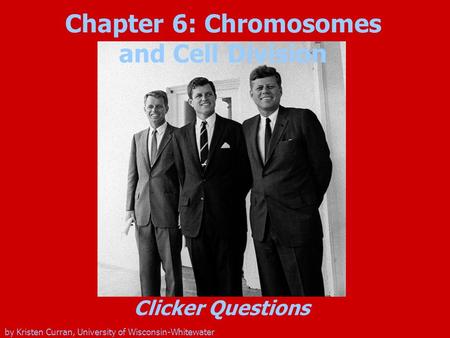 Chapter 6: Chromosomes and Cell Division