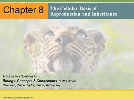 Copyright © 2009 Pearson Education, Inc. Active Lecture Questions for Biology: Concepts & Connections, Sixth Edition Campbell, Reece, Taylor, Simon, and.