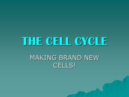 THE CELL CYCLE MAKING BRAND NEW CELLS!. CHROMOSOME LABEL THE IMAGES AS WE GO!