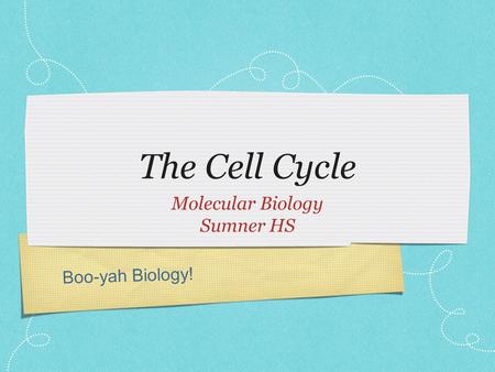 Boo-yah Biology! The Cell Cycle Molecular Biology Sumner HS.