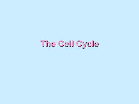 The Cell Cycle. When do cells divide? ReproductionReproduction Replacement of damaged cellsReplacement of damaged cells Growth of new cellsGrowth of new.