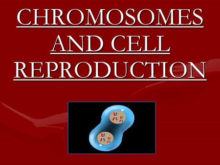 CHROMOSOMES AND CELL REPRODUCTION