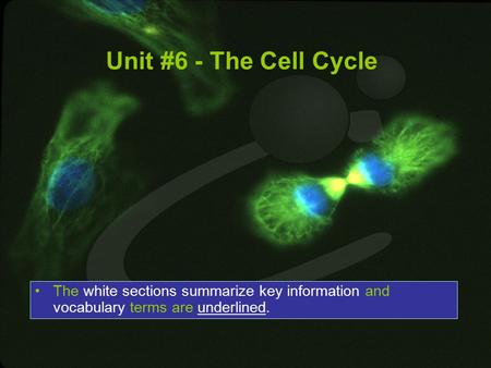 Unit #6 - The Cell Cycle The white sections summarize key information and vocabulary terms are underlined.