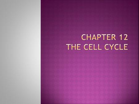 Chapter 12 The Cell Cycle.