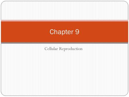 Cellular Reproduction