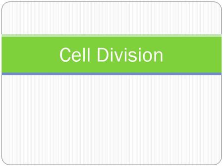 Cell Division.